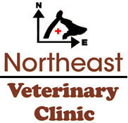 Veterinarian in El Paso, TX | Northeast Veterinary Clinic